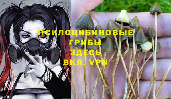 гашиш Алексеевка