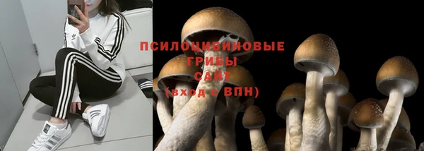 марки lsd Алзамай