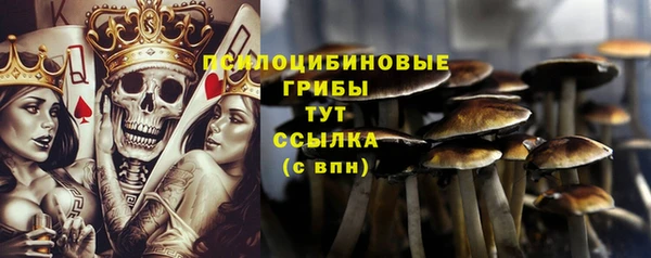 МДПВ Алексин